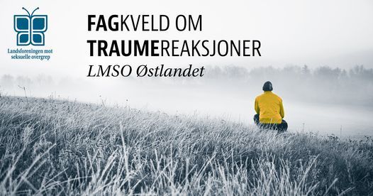 Fagkveld om traumereaksjoner med Lise Berglund v\/Modum Bad