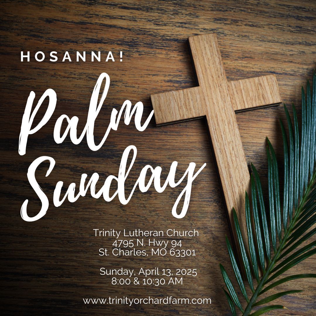 Palm Sunday