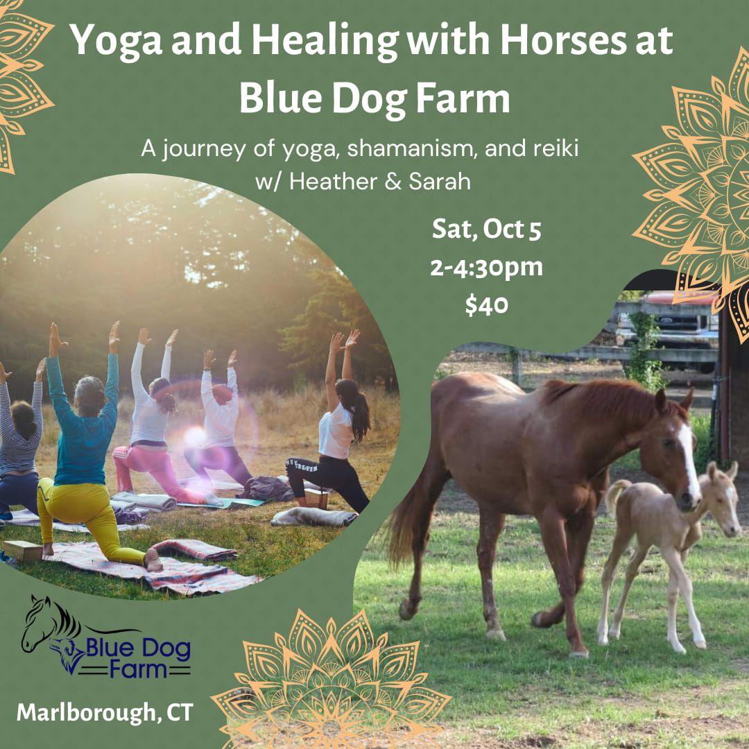 Yoga & Healing w\/ Horses at Blue Dog Farm!