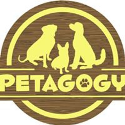 Petagogy