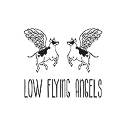 Low Flying Angels