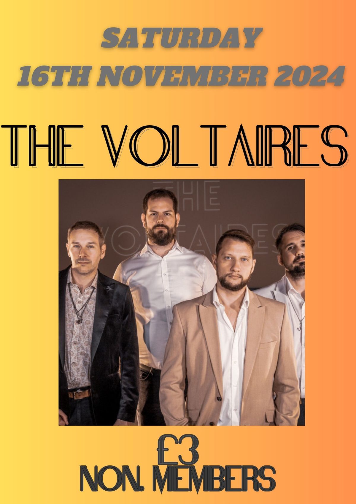 The Voltaires