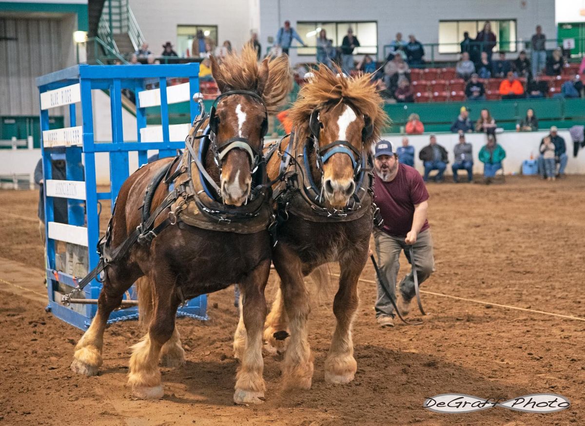 Southern National Draft Horse Pull and World Championship Coon Mule Jump