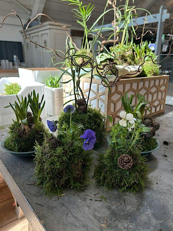 Event Photos