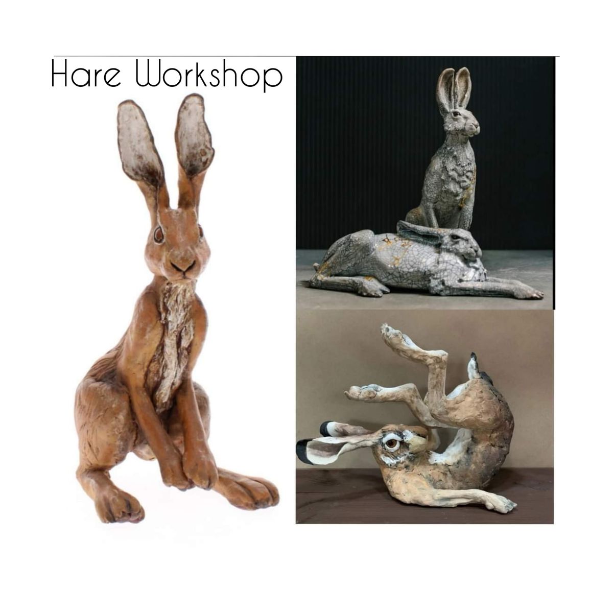 Hare Workshop-Saturday 22nd June 