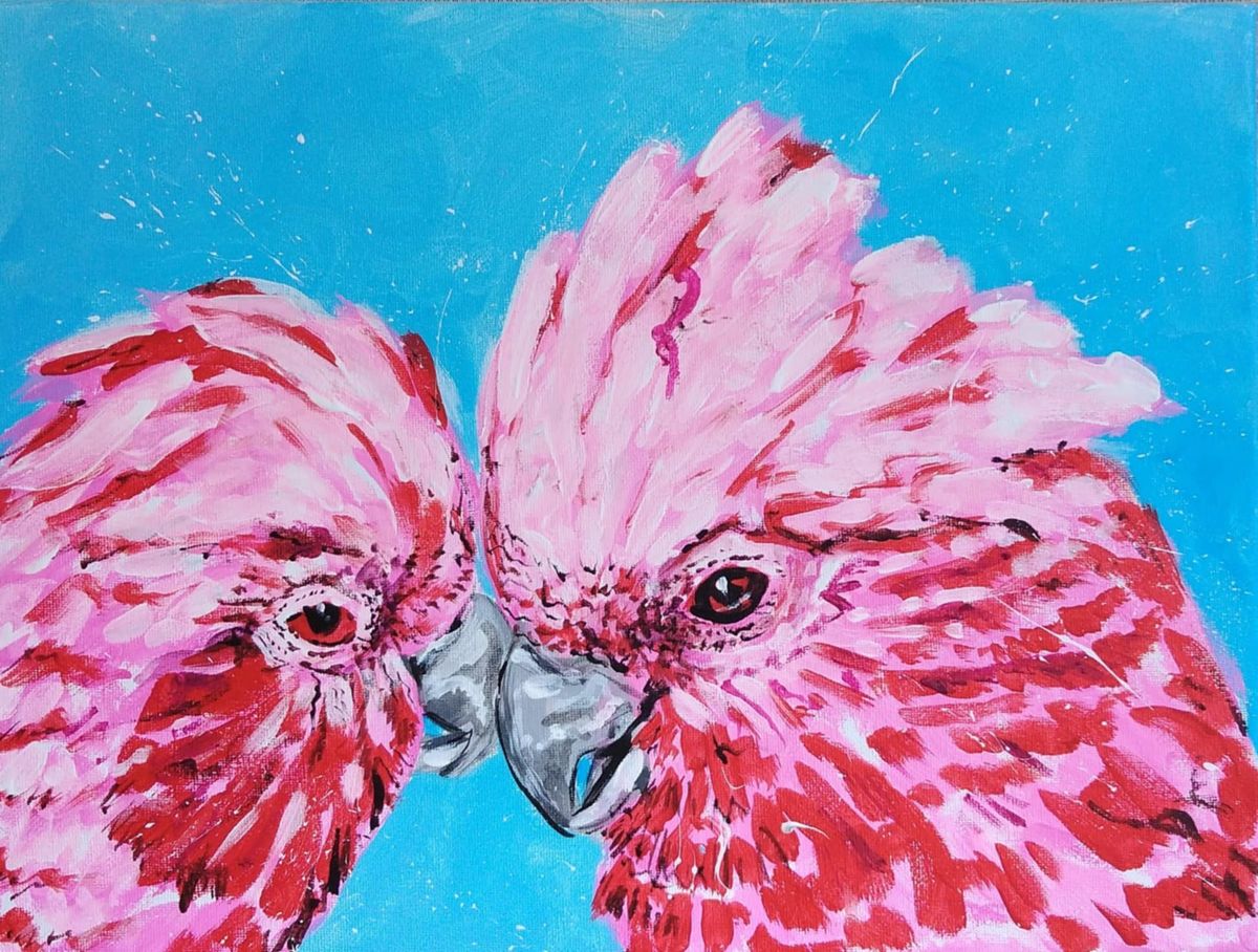 Pair of Galahs