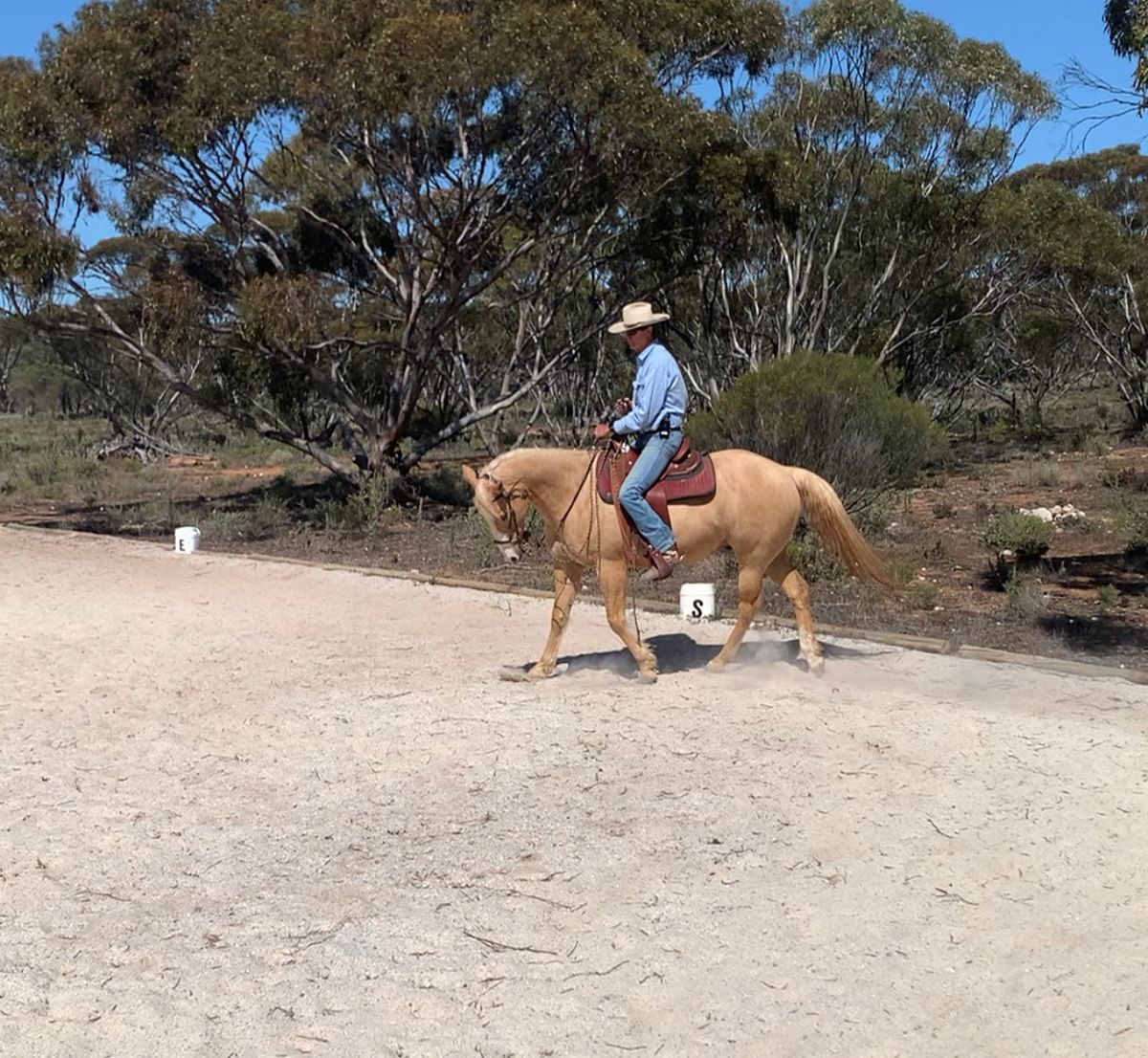 Light Hands Dressage Course and Benchmark Day