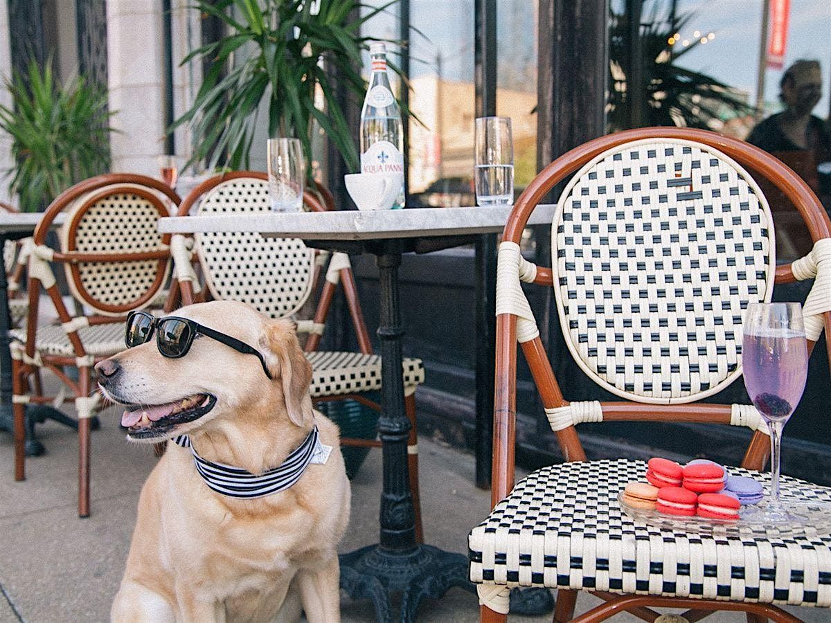 Training Class - Community Ambassadors