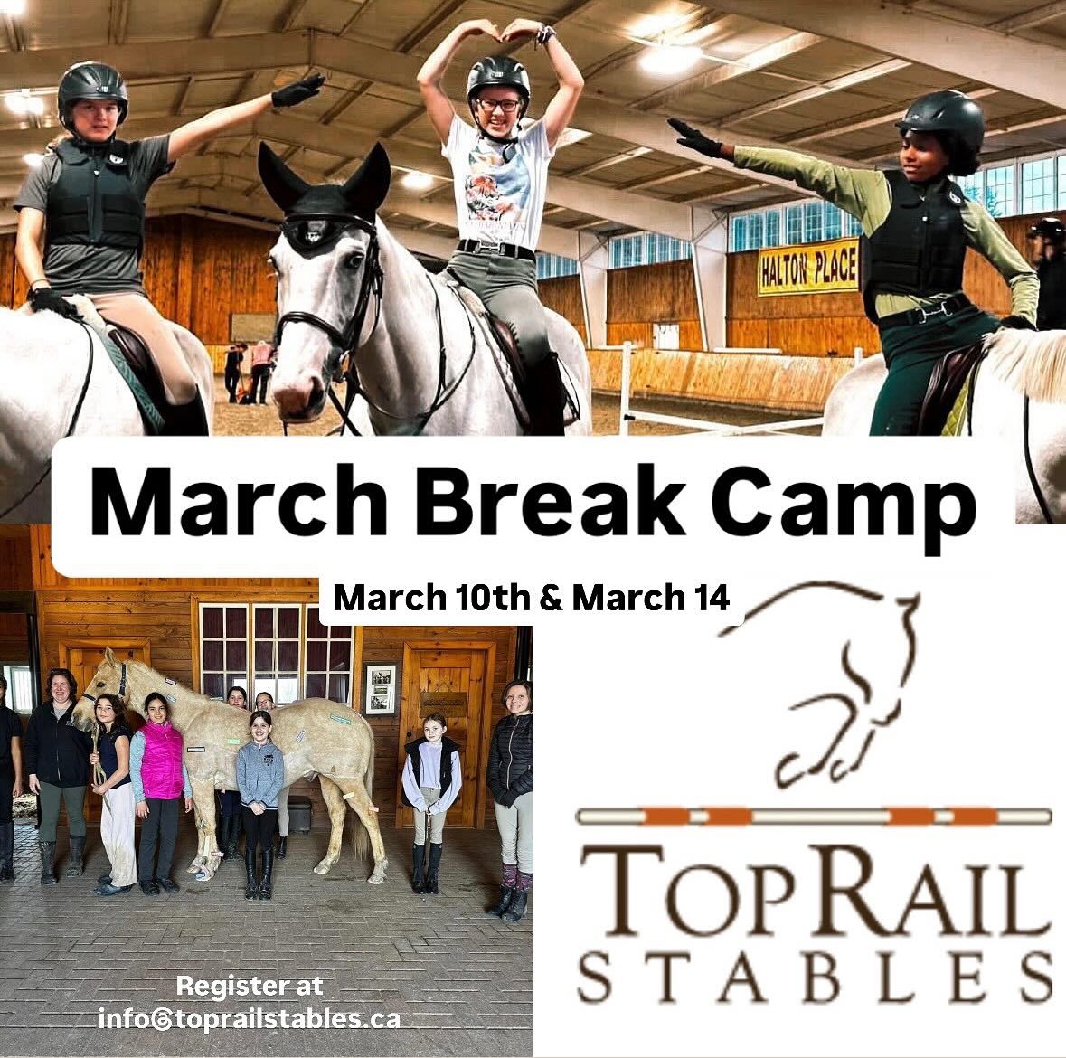 Top Rail Stables March Break Camp