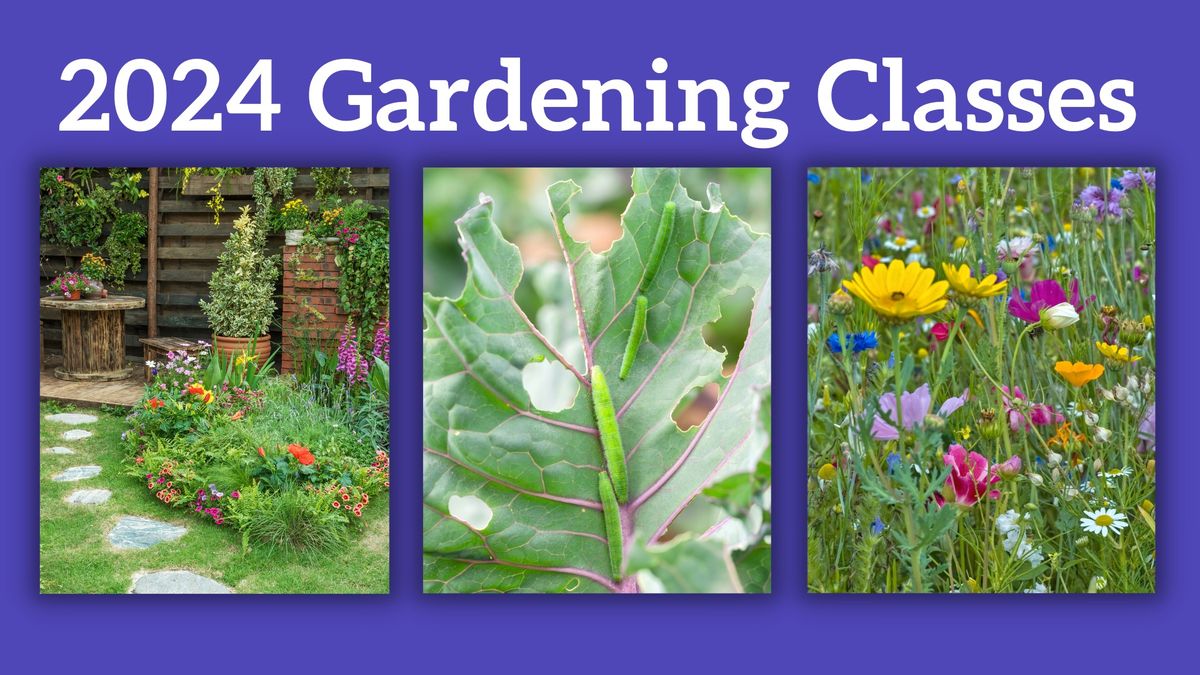 2024 Gardening Classes - Winter Sowing