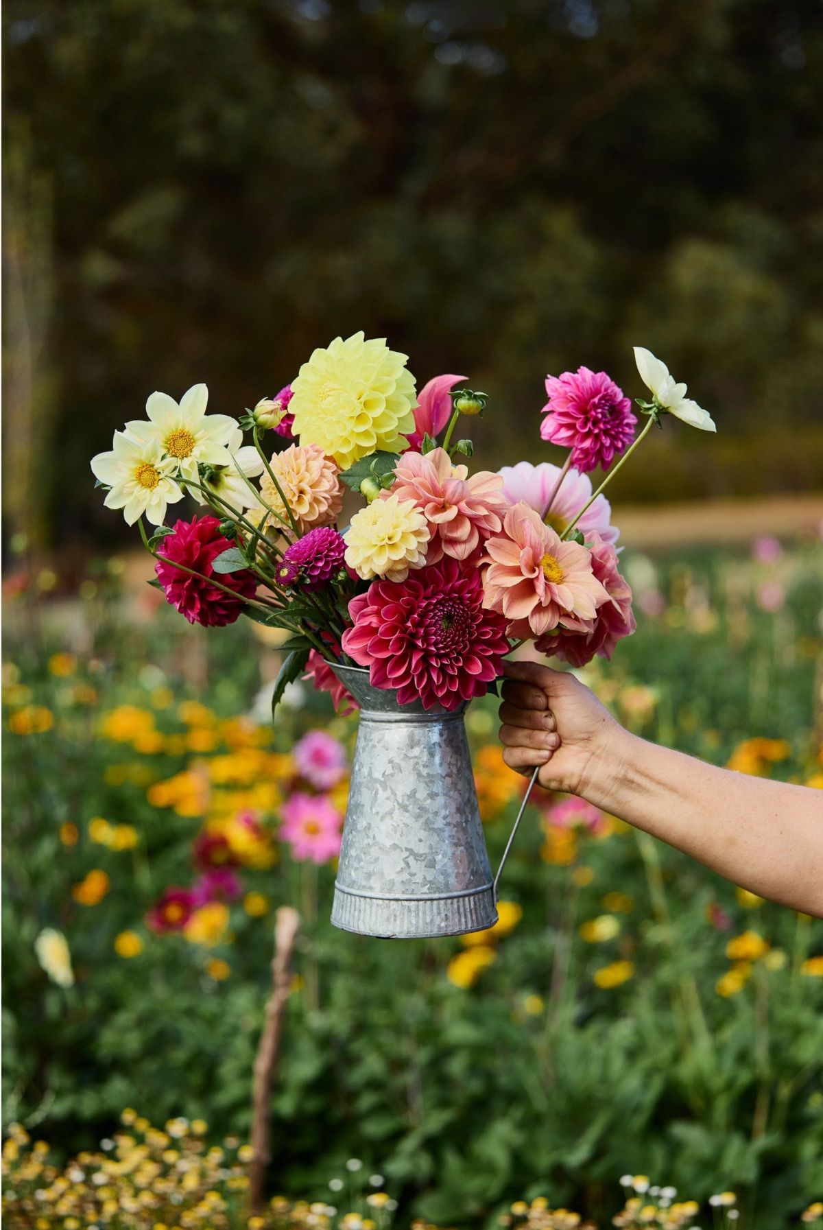 Tuesday Flower Picking