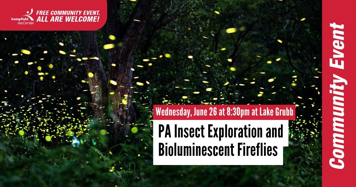 PA Insect Exploration and Bioluminescent Fireflies