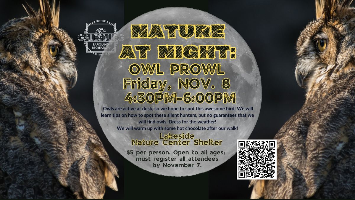 Nature at Night: Owl Prowl