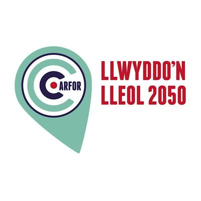 Llwyddo'n Lleol 2050