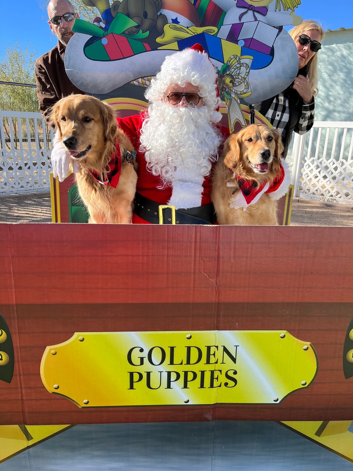 Pictures with Santa at Golden Puppies 