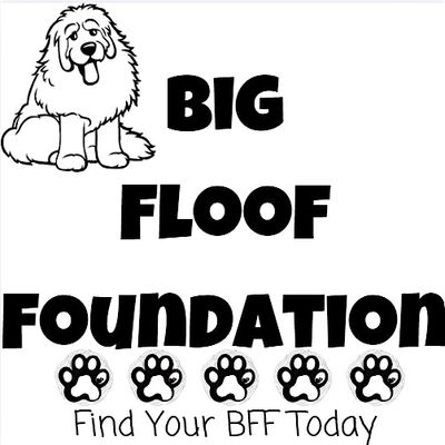 Big Floof Foundation