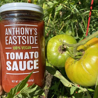 Anthony Spino