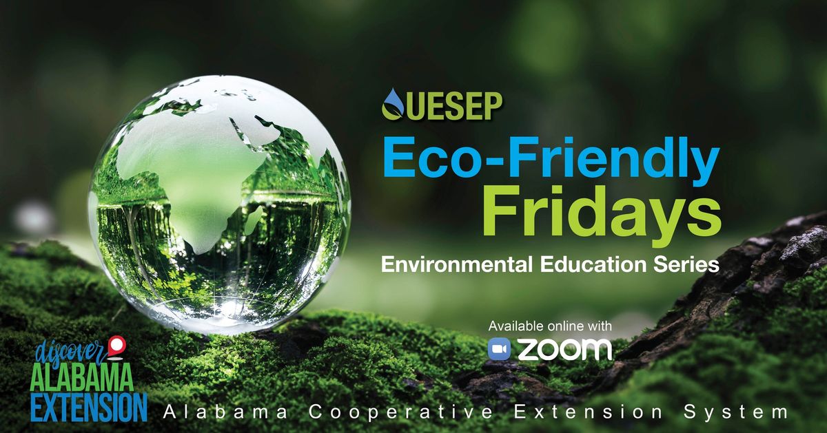  Eco-Friendly Fridays Environmental Series