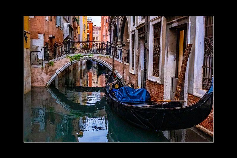 Venice 2024