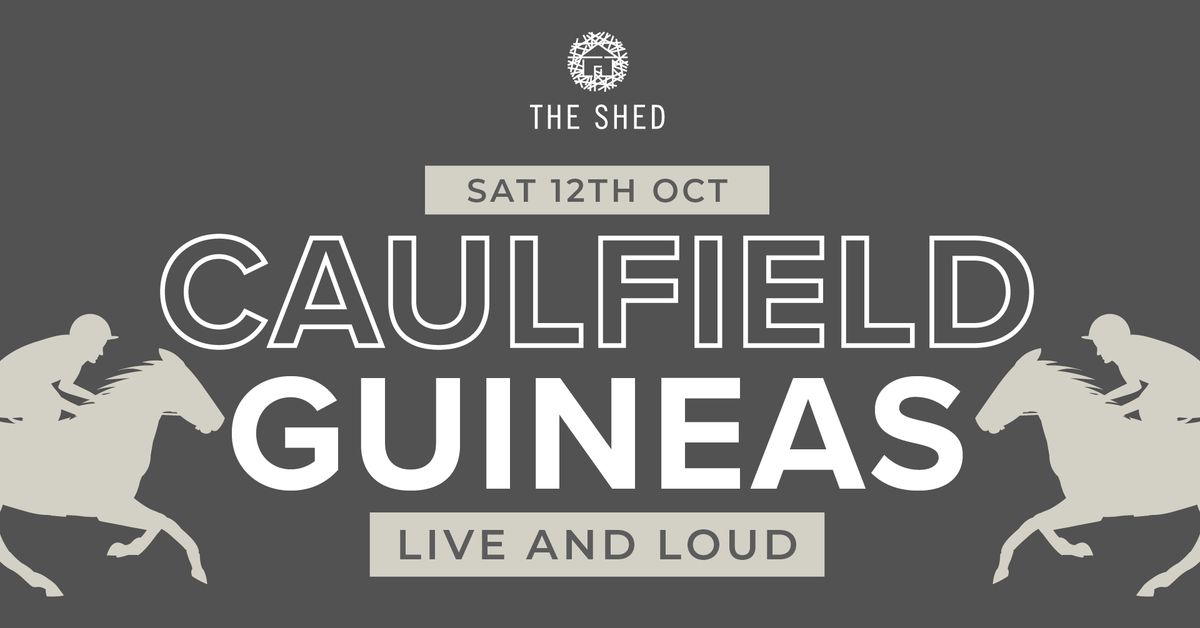 Caulfield Guineas in The Shed