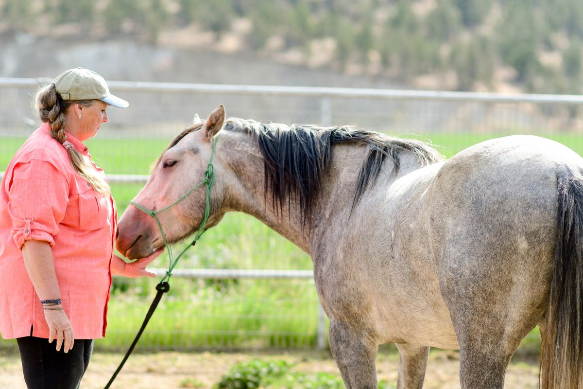 STEP Training\/ Horsemanship Semester 1 