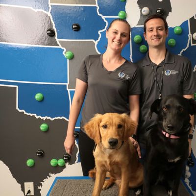 Dog Training Elite Western Chicago \/ Naperville