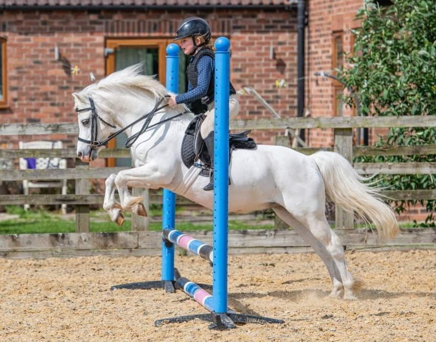 FUN SHOW JUMPING \ud83d\udc0e SUNDAY 30th MARCH \ud83d\udc0e MILL LANE STABLES @9am start