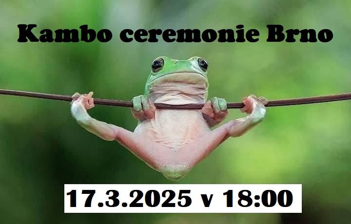 Kambo ceremonie Brno 17.3.2025