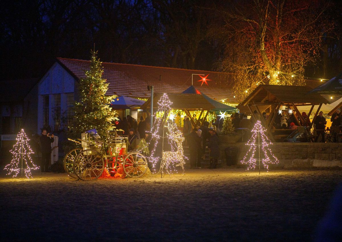 Winterzauber Weihnachtsmarkt\u2744\ufe0f