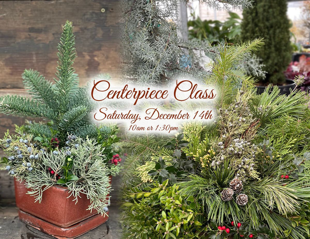 Winter Centerpiece Class 10am or 1:30pm