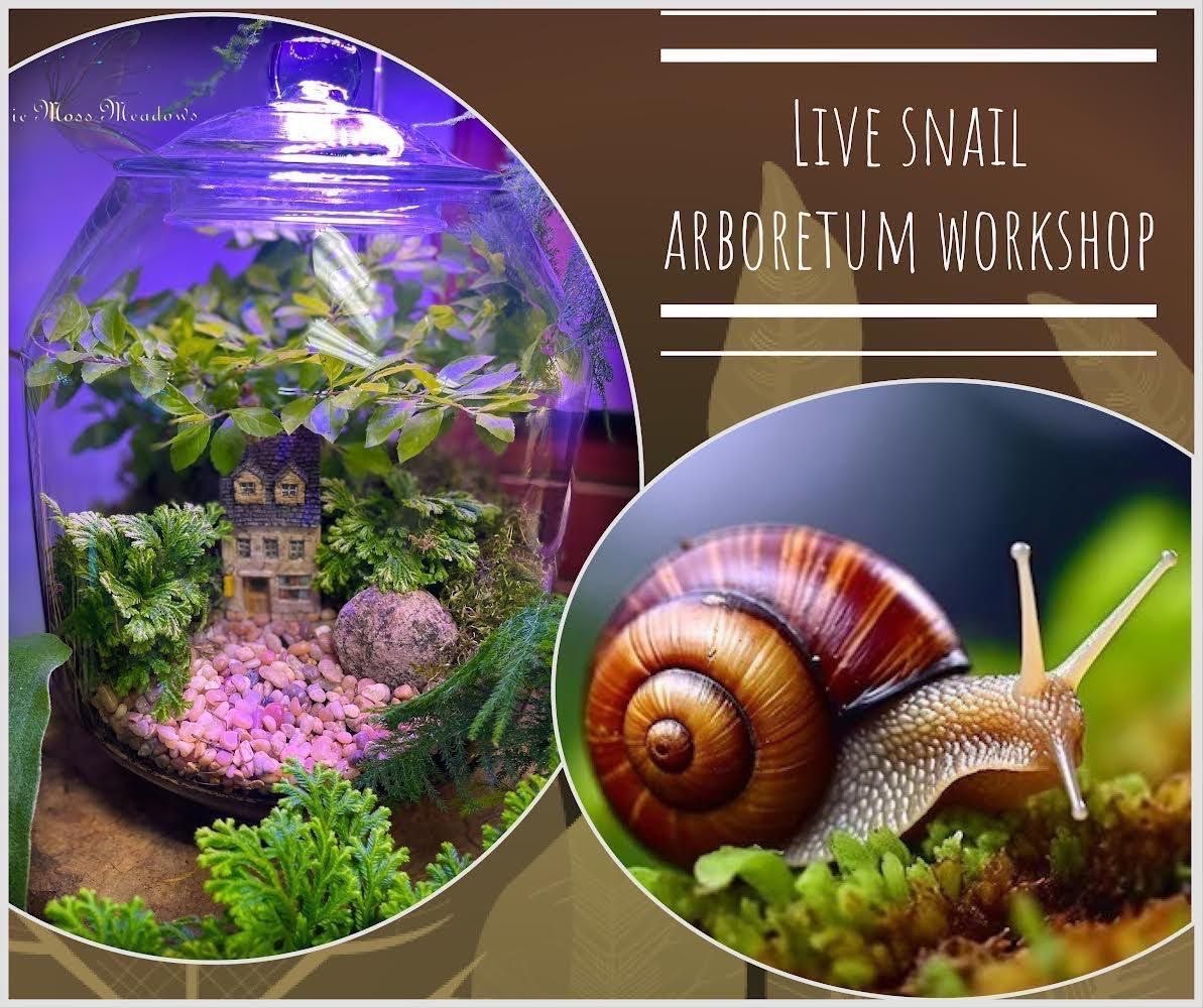 Live Snail Arboretum Workshop