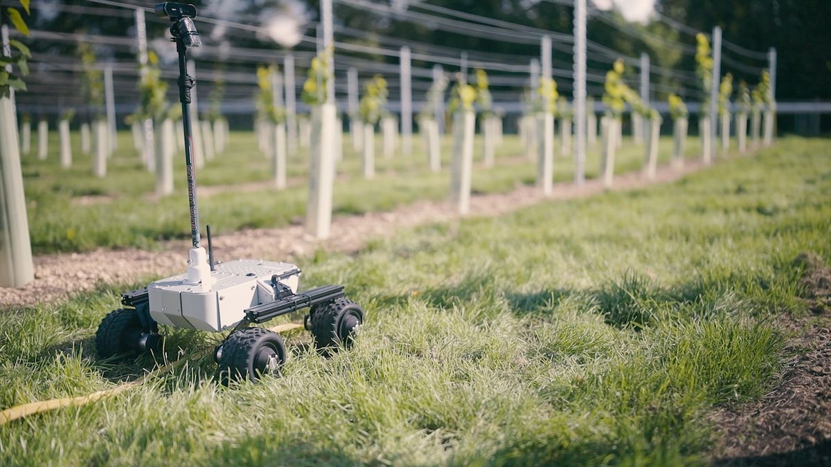 Farm of the Future: Agri-tech in action 