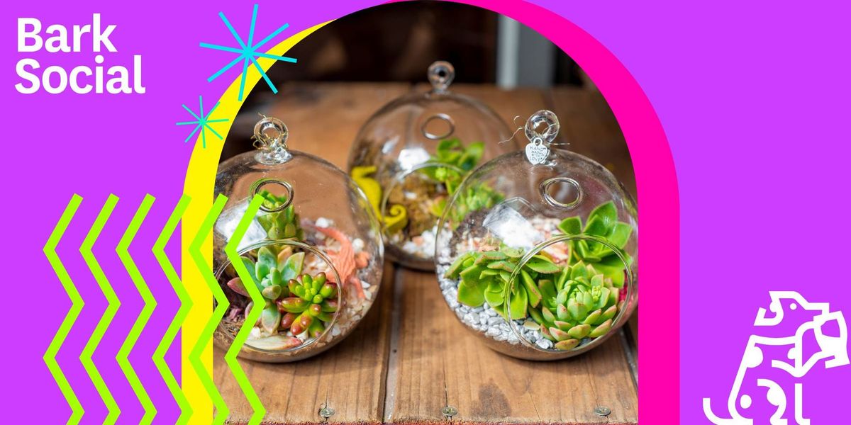 Terrarium Workshop w\/Pitties & Petals!