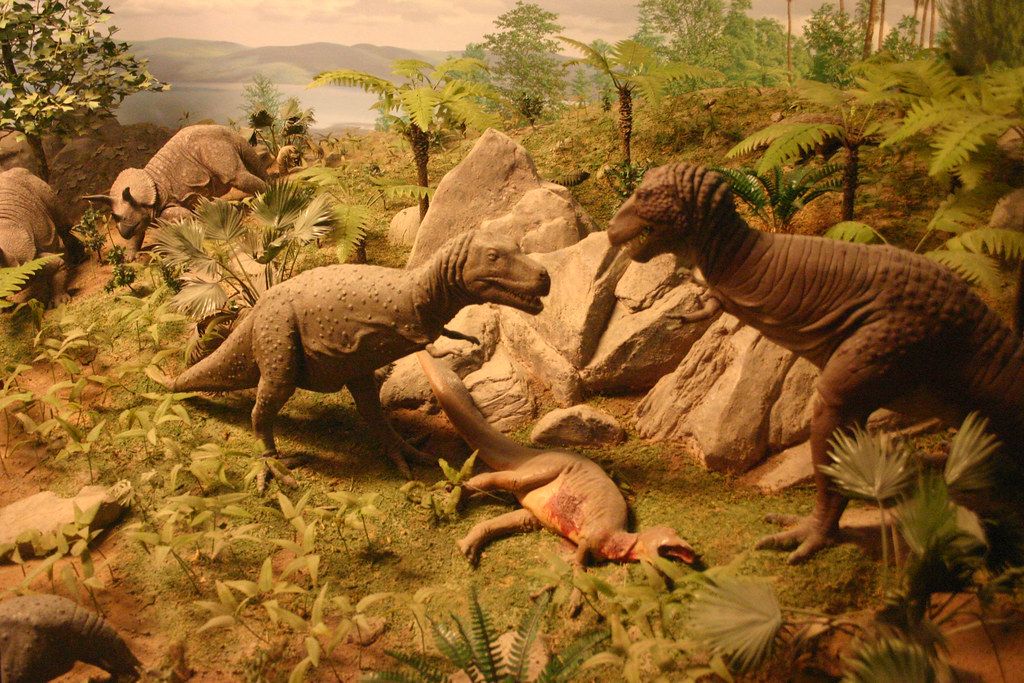 Dinosaur Diorama Event with Kindred Spirits Homeschool Group