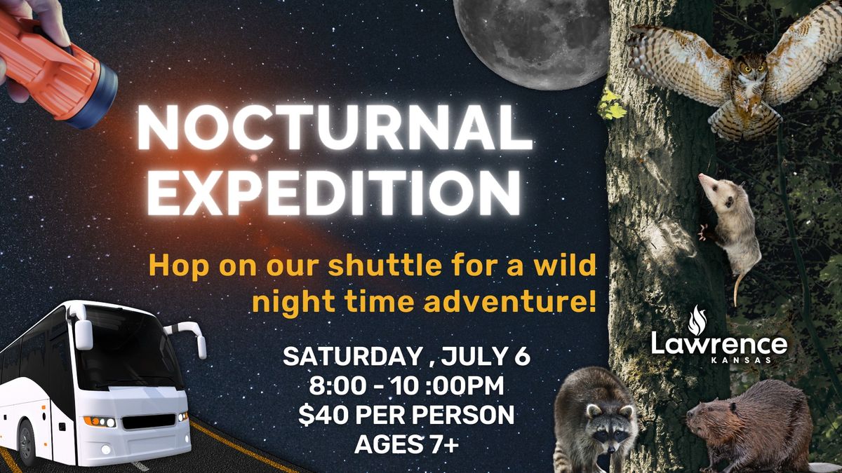 Take a Walk on the Wild Side: Nighttime Expedition