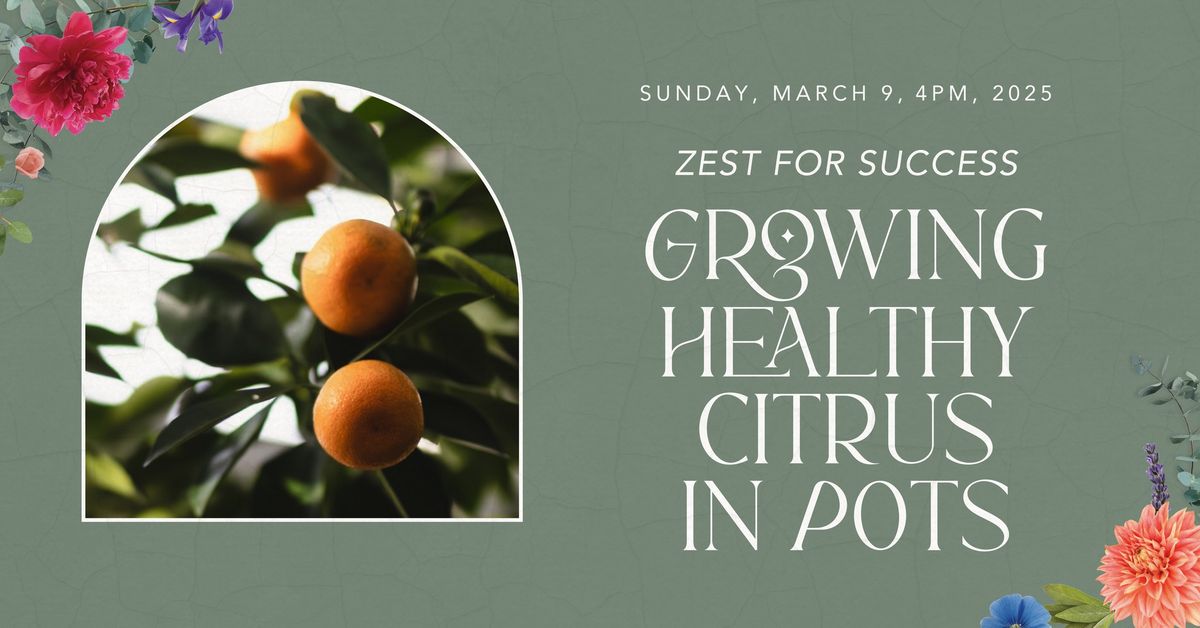 Zest for Success: Growing Healthy Citrus in Pots