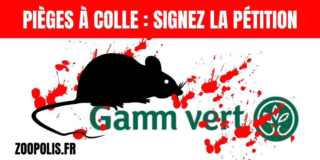 GAMM VERT : Happening pour la fin des pi\u00e8ges \u00e0 colle