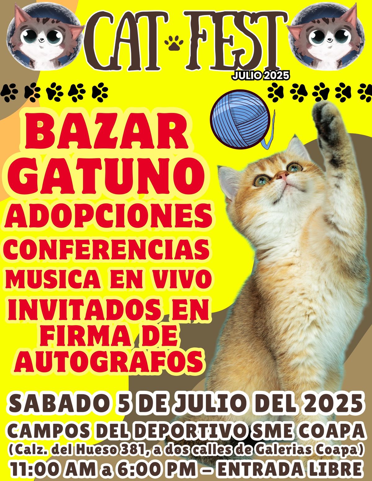 Cat Fest Julio 2025