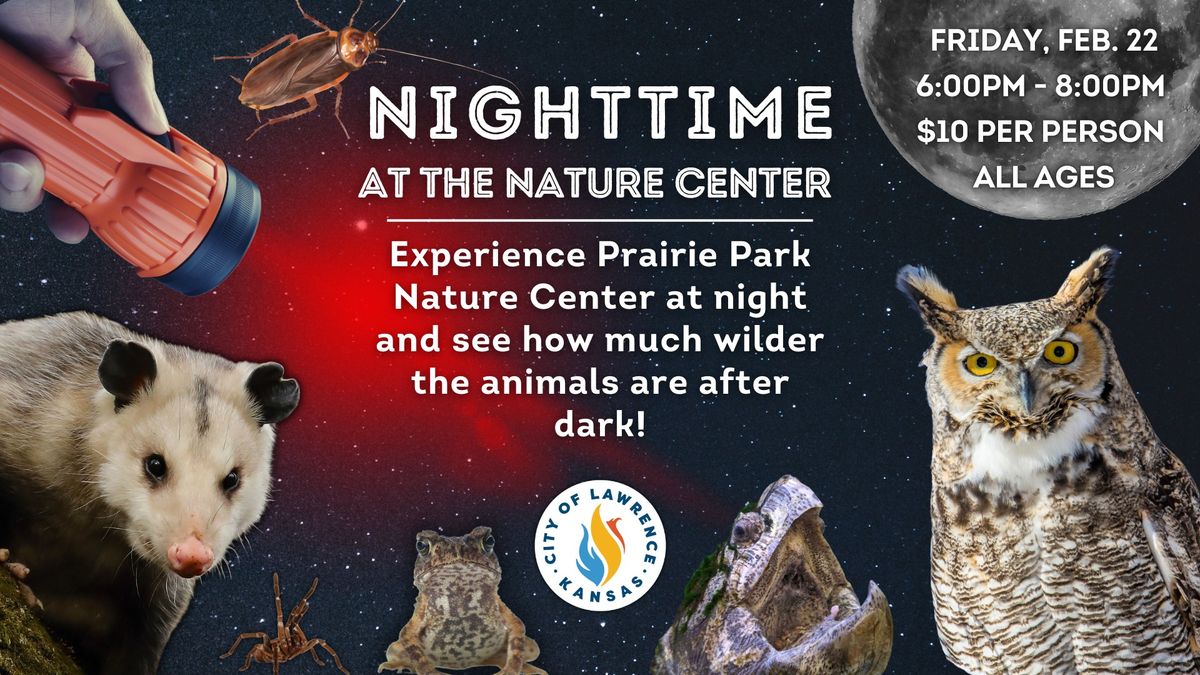 Nightime at the Nature Center