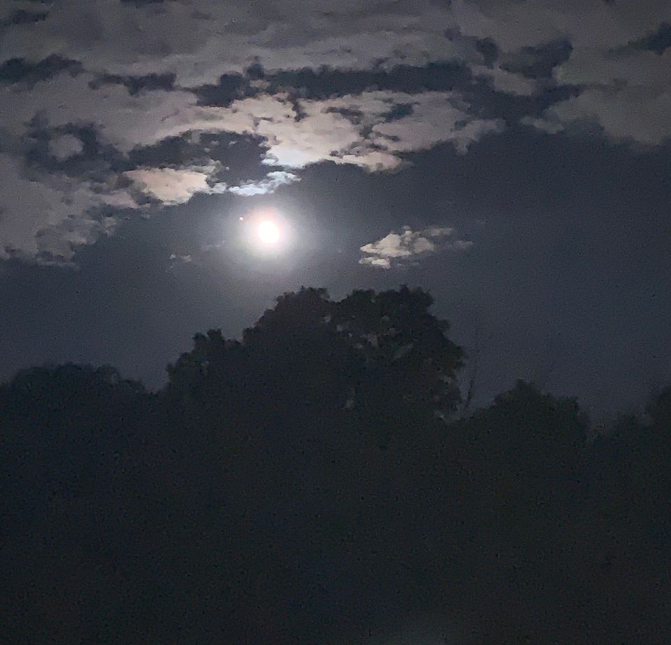 Full Moon Walk @ North Andover Common