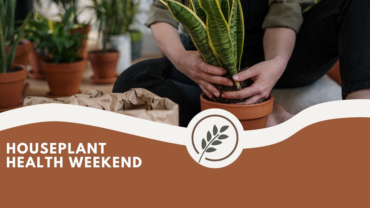 Houseplant Health Weekend