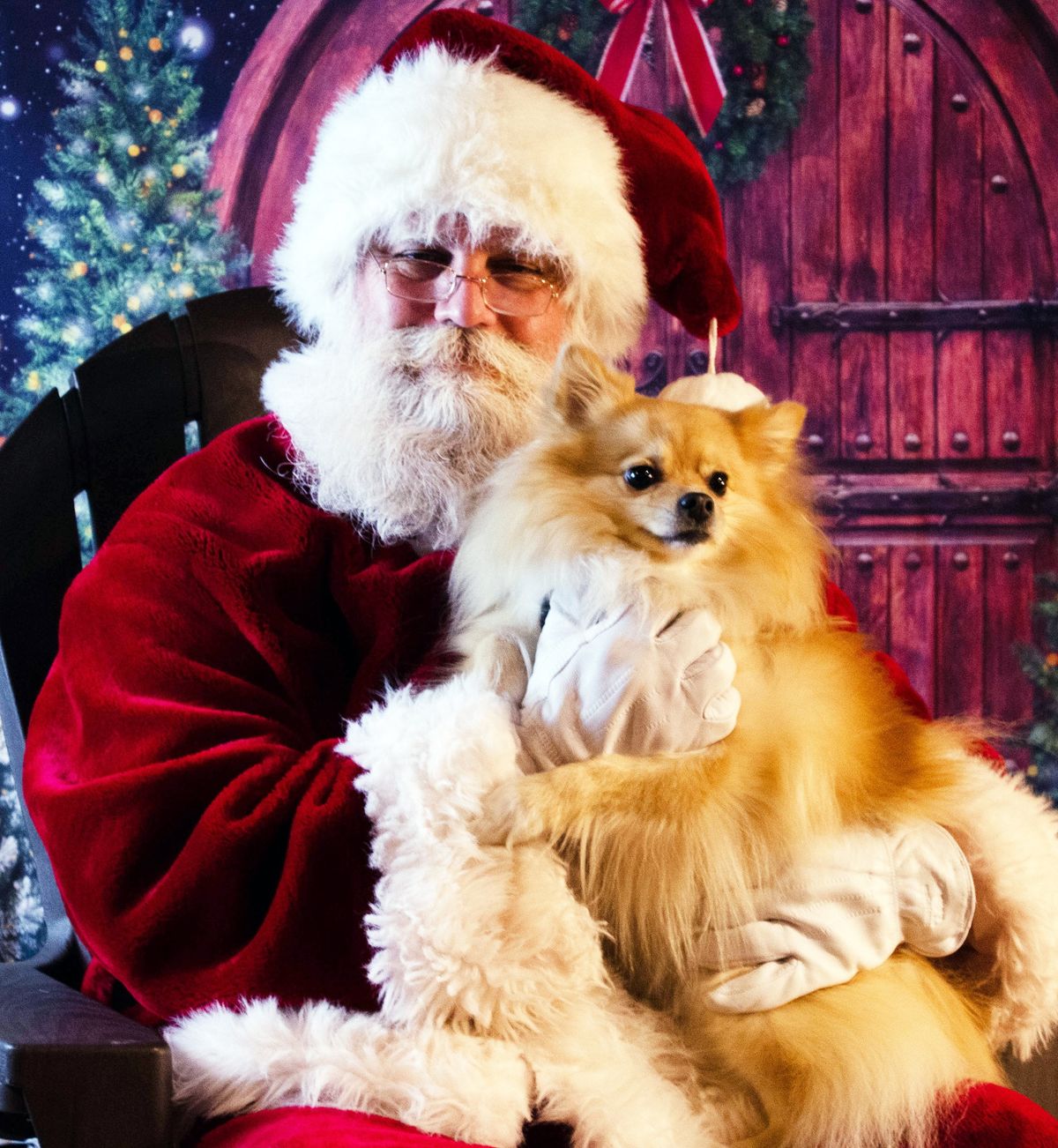 Pet Photos with Santa