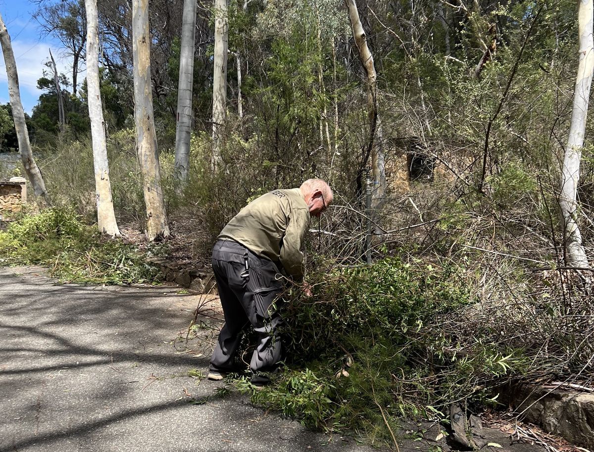 Weeding Work Party