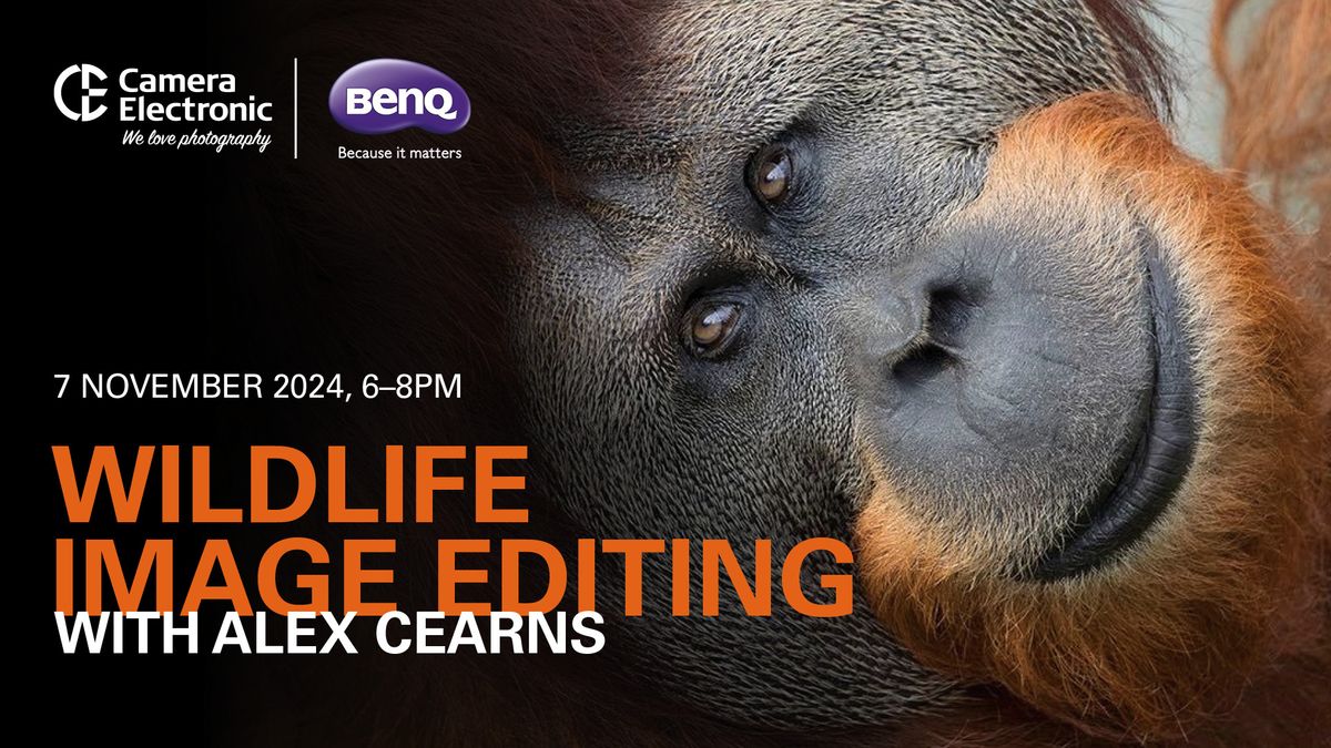 Wildlife Image Editing with Alex Cearns