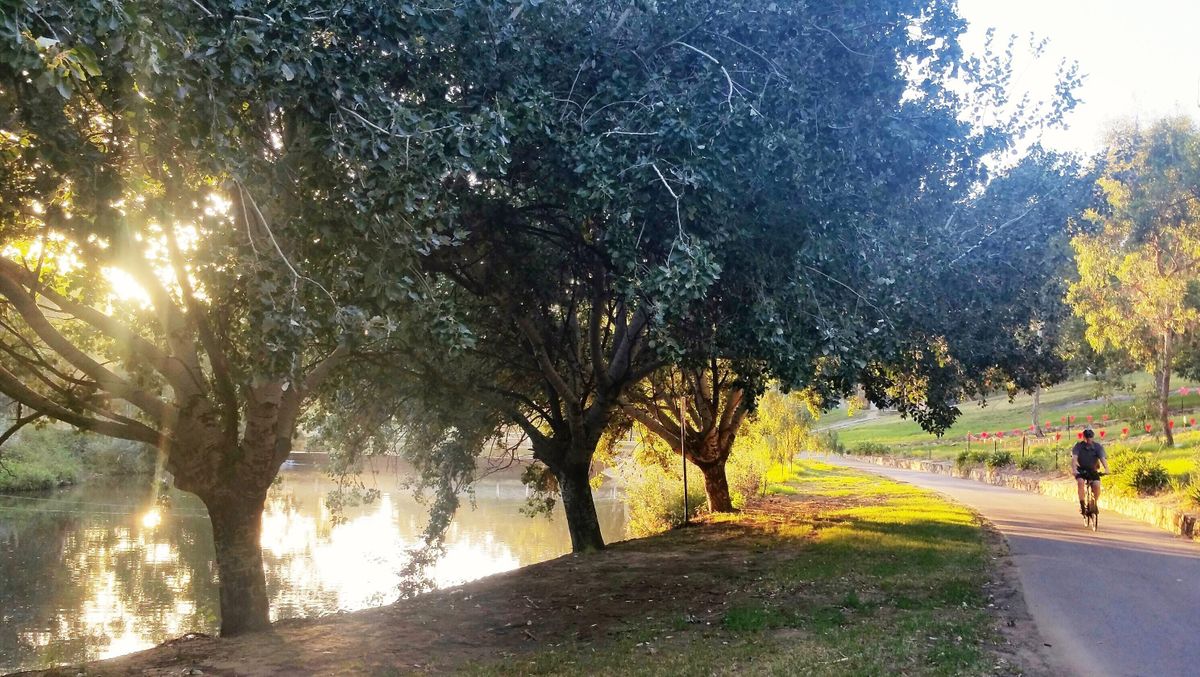 Guided Walk through Bonython Park \/ Tulya Wardli (Park 27)