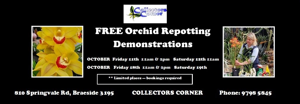 FREE ORCHID REPOTTING DEMONSTRATIONS