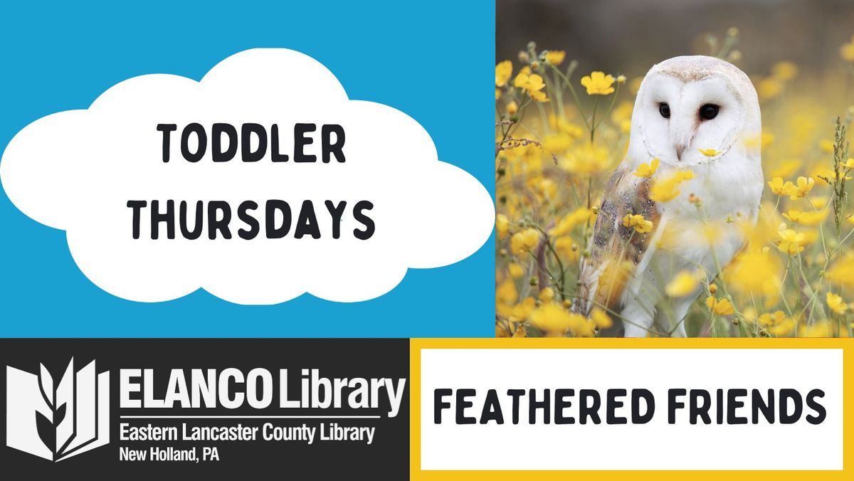 Toddler Thursdays: Feathered Friends