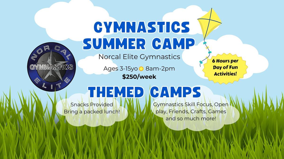 Summer Gymnastics Camp