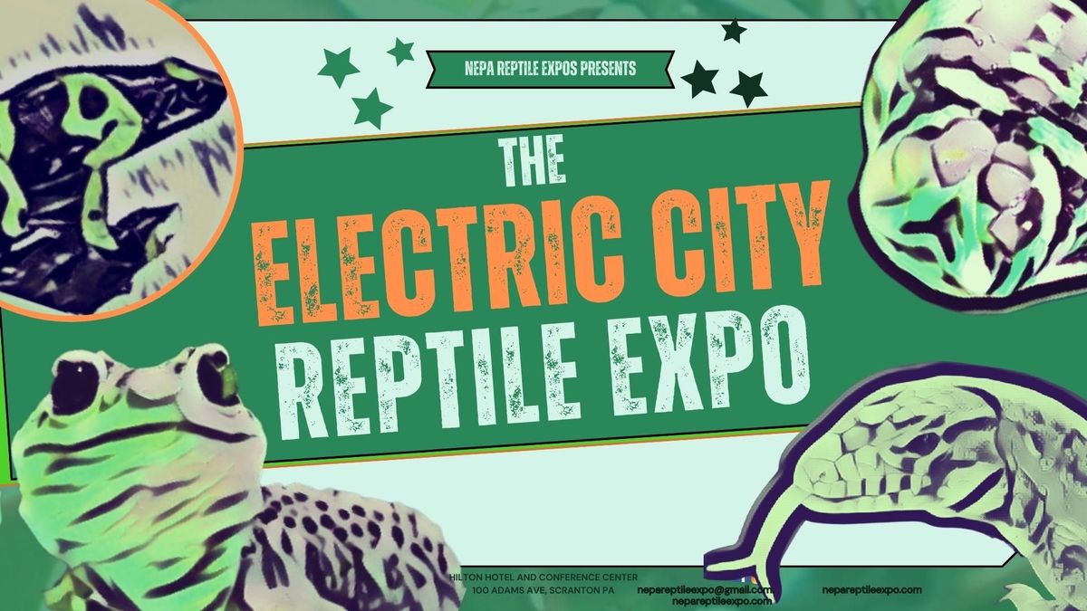 The Seventh Electric City Reptile Expo