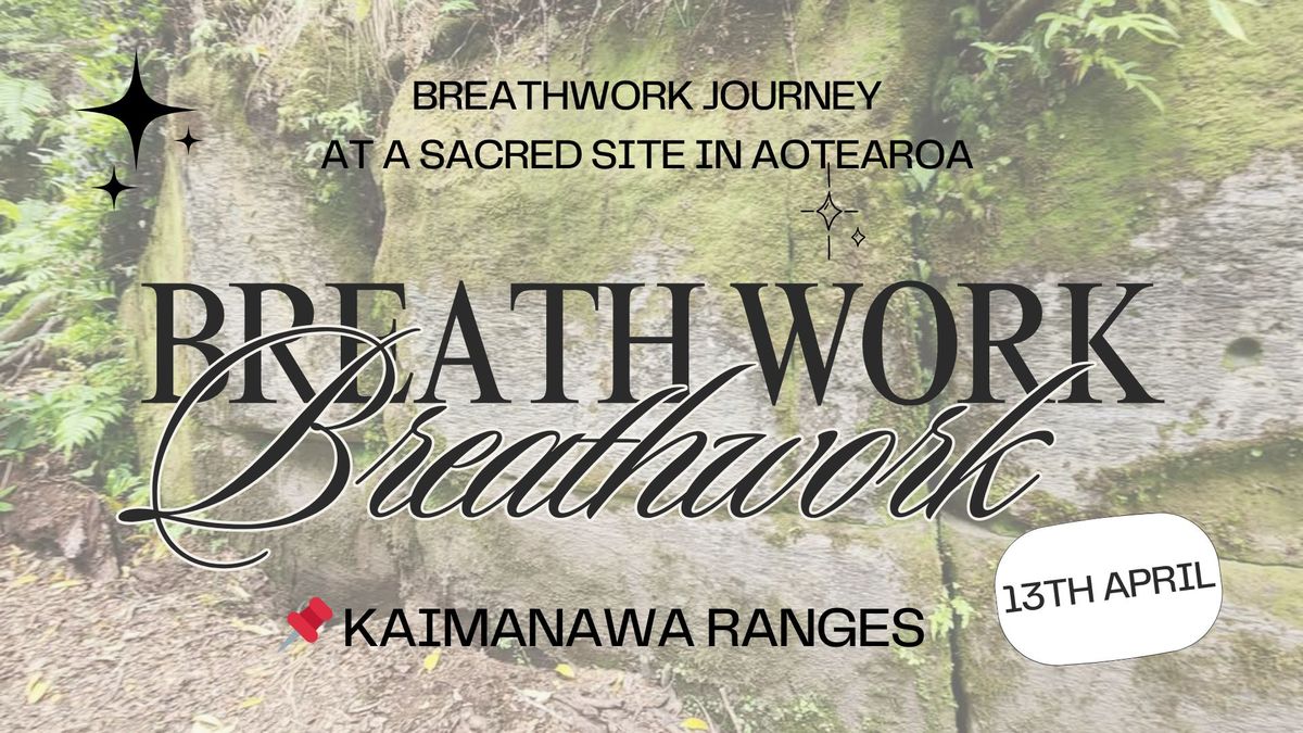 Breathwork Journey | Kaimanawa Wall